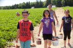 Bien se préparer pour réussir vos activités d’autocueillette