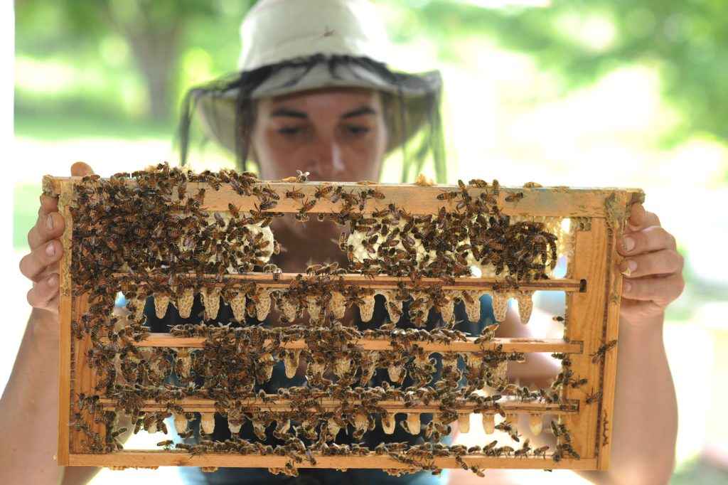 Marie-Eve Cyr, celle par qui les abeilles produisent dans les meilleures conditions qui soient. Photo : gracieuseté