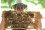 Le Château de Cyr : la piqûre de l’apiculture