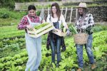 Faciliter l’intégration en emploi des femmes éloignées du marché du travail