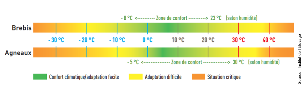 Figure 1 : Les zones de températures de confort pour les brebis et les agneaux. 1