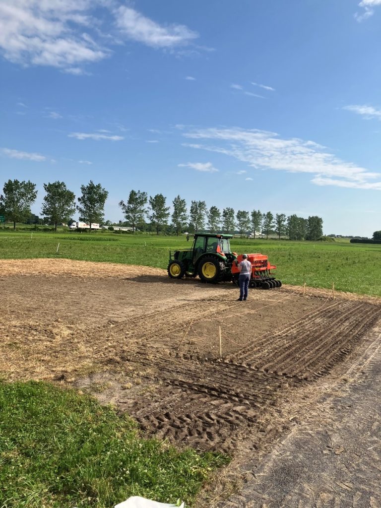 Étape 2 : Le semis direct de la parcelle de démonstration. Photo : MAPAQ