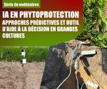 IA en phytoprotection : approches prédictives et outil d’aide à la décision en grandes cultures